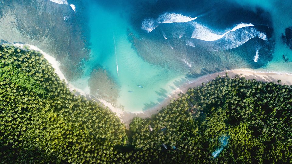 Tropical beach aerial photograp